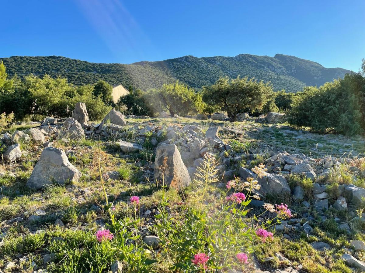 Cazevieille Le Domaine Du Cade-Gites D'Exception 4Etoiles "La Villa Du Cade" מראה חיצוני תמונה