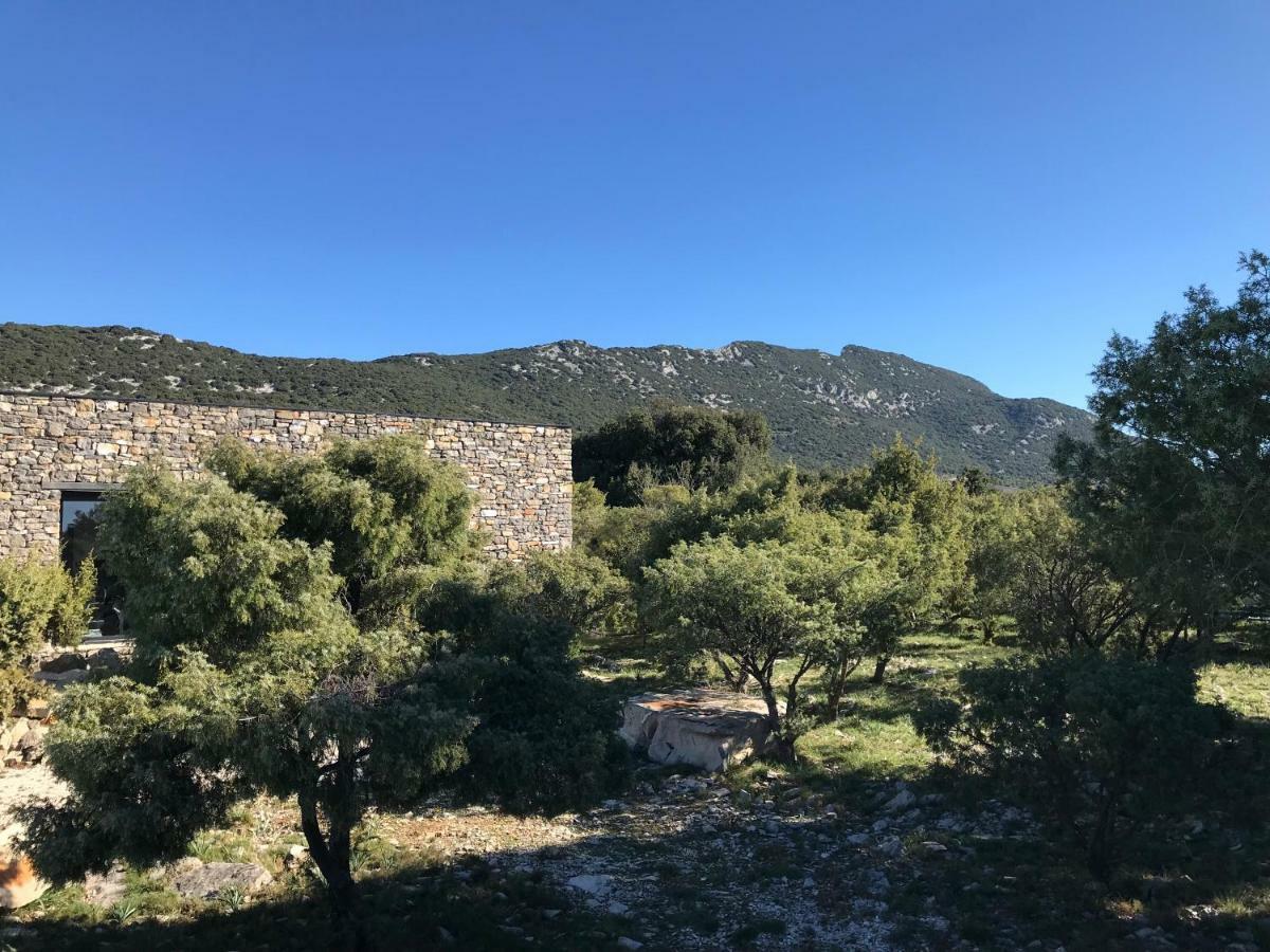 Cazevieille Le Domaine Du Cade-Gites D'Exception 4Etoiles "La Villa Du Cade" מראה חיצוני תמונה